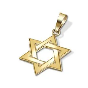 14K Gold Braided Star of David Pendant