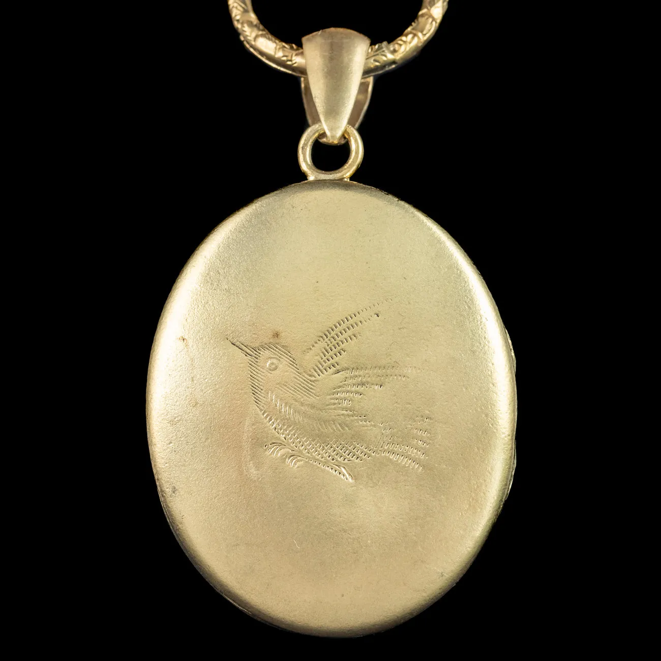 Antique Victorian Bird Locket And Collar Silver Gold Gilt