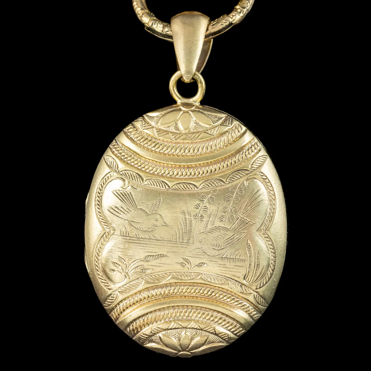 Antique Victorian Bird Locket And Collar Silver Gold Gilt