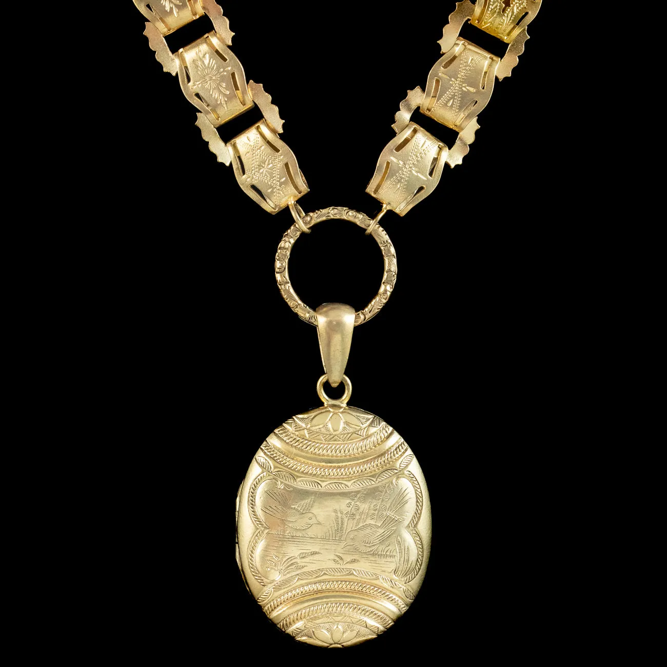 Antique Victorian Bird Locket And Collar Silver Gold Gilt