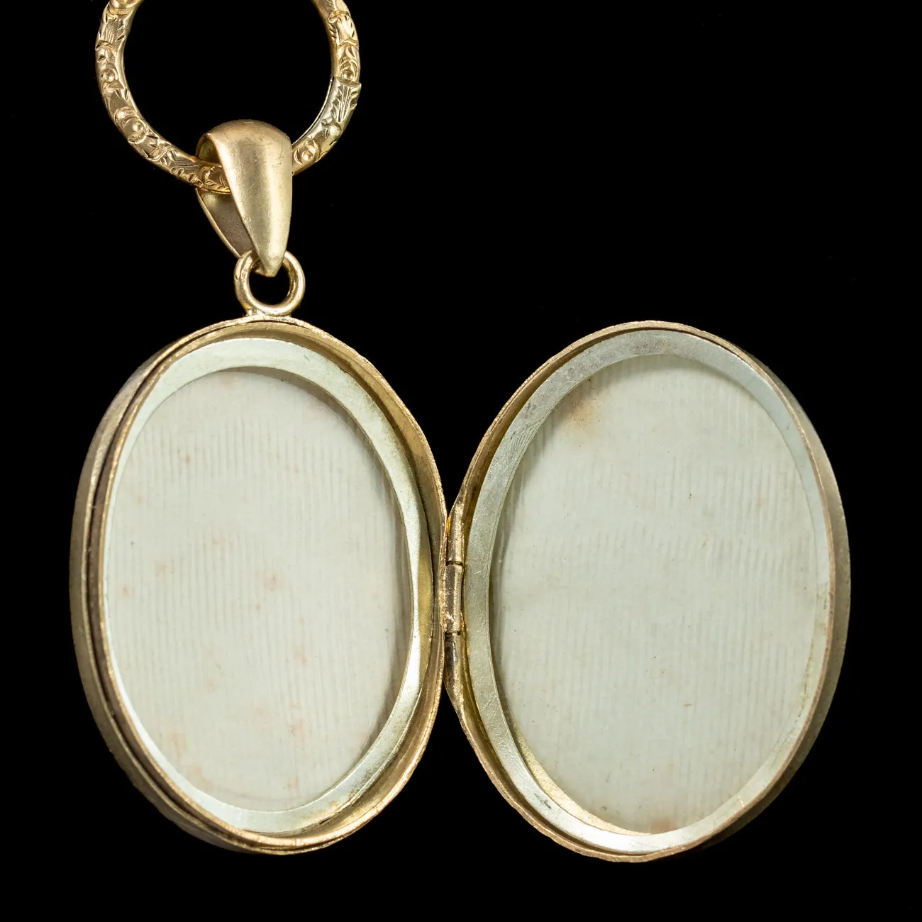 Antique Victorian Bird Locket And Collar Silver Gold Gilt