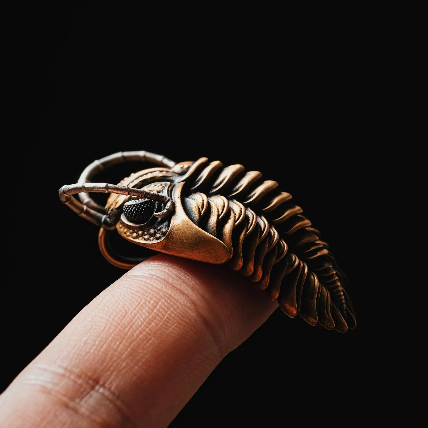 Trilobite Kinetic Pendant