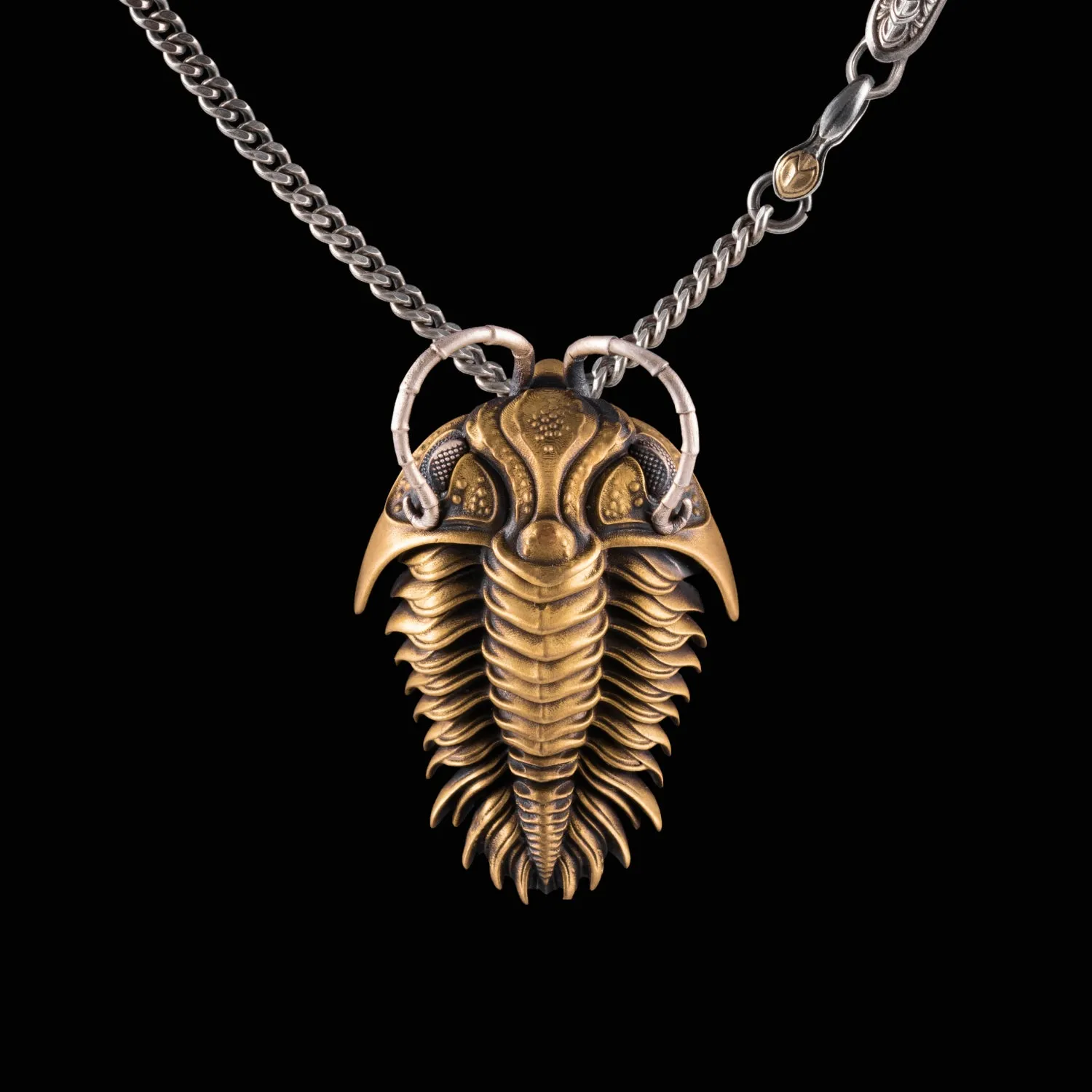 Trilobite Kinetic Pendant